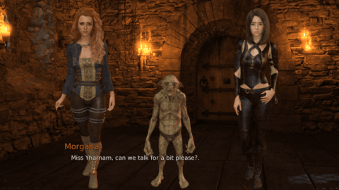 The Goblin’s Brides